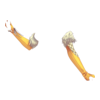 Gants Graceful Fencer