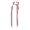 Cape Myre's Saint