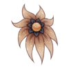Fleur Shy Waterlily