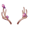 Bois Deer From Winter