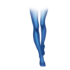 Bas Costume Bériflore