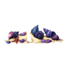 Sol Coquillages Abyss Creature