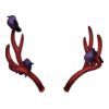 Bois Deer From Winter