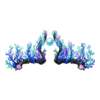 Couronne Marvellous Manta