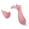 Bolero Hunter Instinct