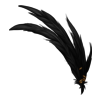 Plumes Champagne