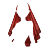 Voile Gift Bringer