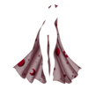 Cape Fortune Teller
