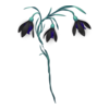 Fleurs Winter Faerie