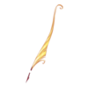 Plume Myre's Saint