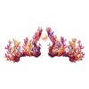 Couronne Marvellous Manta