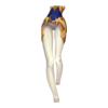 Pantalon Graceful Fencer
