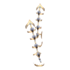 https://www.eldarya.com/assets/img/item/player/icon/1b2f613b68dd9930f58fe1a5db904171~1623678770.png