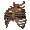 Top Bone Guardian