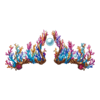 Couronne Marvellous Manta