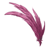 Plumes Champagne