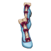 Bottines Gift Bringer