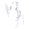 Perles Cacophony