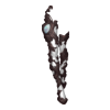 Bottes Soprano