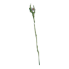 Sceptre Soul Sentinel