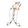 https://www.eldarya.com/assets/img/item/player/icon/2ec00d31d410c153bbb15a88f50ce094~1623743140.png