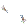 Manchettes Deer From Winter