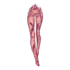 Pantalon Nightmare Chivalry
