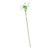 Bâton Starry Witch