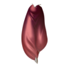 Sarouel Costume Bériflore