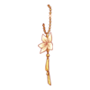 Bracelets Cherry Tree Archer