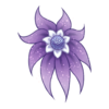Fleur Shy Waterlily