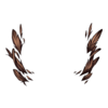 Plumes Visage Twisted Harpy