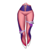Pantalon Dragoness Heir