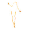 Tatoo Voodoo Priestess
