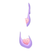 D&eacute;clinaisons