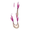 Chaussures Shy Waterlily