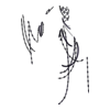 Perles Cacophony