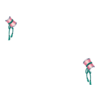 Bracelets Shy Waterlily