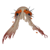 Voile Banshee