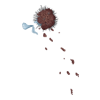 Bouquet Banshee