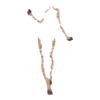 Tatoo Voodoo Priestess