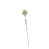 Sceptre Stained-Glass Widow