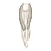 Pantalon Ghost Hunter