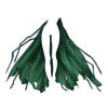 Cape Ghost Hunter