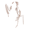 Perles Cacophony