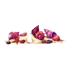 Sol Coquillages Abyss Creature