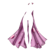 Cape Fortune Teller