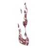 Chaussures Petrifying Empress