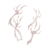 Maléfice Veiled Claws