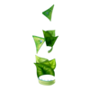 Chaussures Cute Leaf